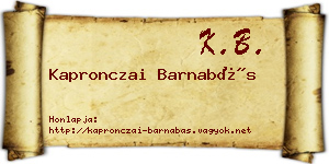 Kapronczai Barnabás névjegykártya